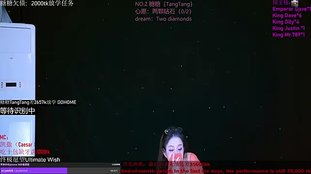 CCTW-100 webcam