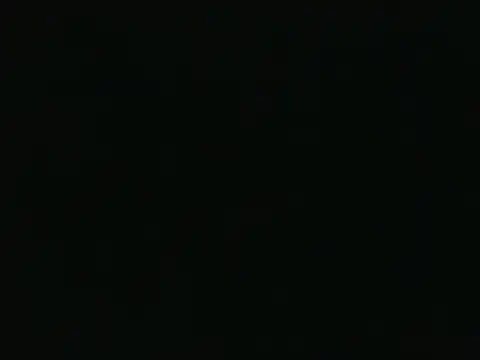 Bellanights2