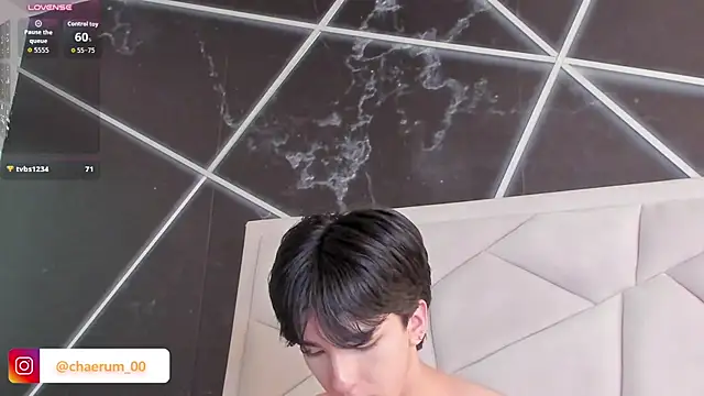 AerumChae live webcam