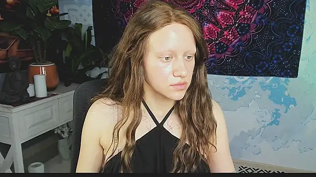 LidaDarknet webcam