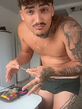 picasso_25CM webcam