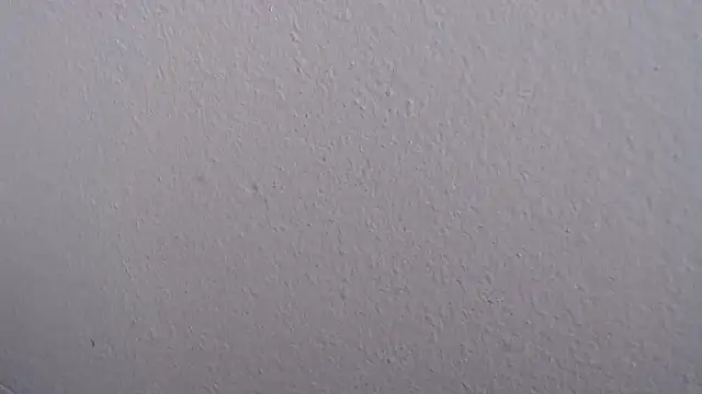 Adriana_0312