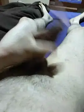 pitudoricoxxx