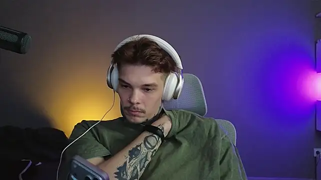 DENIS_HERE webcam