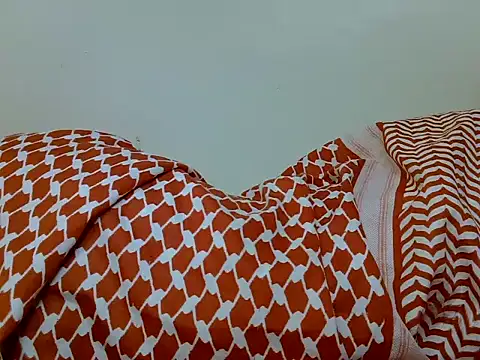 Swt_vixen