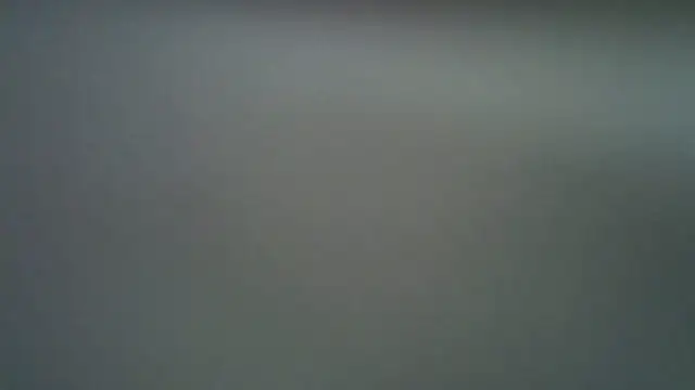 Sahmin_