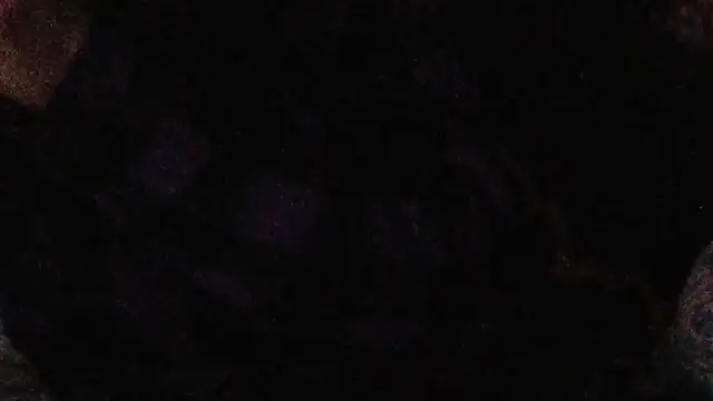 cumloverboyxx69