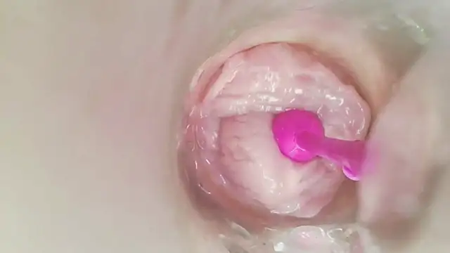 karol_stom
