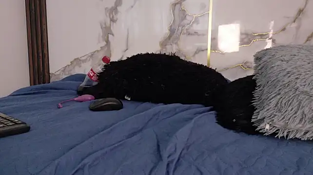 Samy_King23 live cam on StripChat