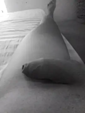 joaoa21cm