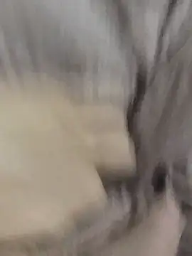 Ahmed25jabhdu