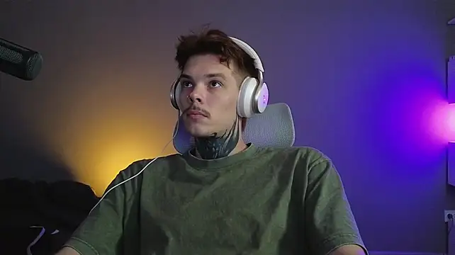 DENIS_HERE webcam