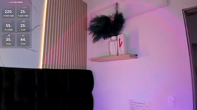 paulys_ webcam