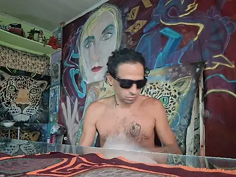 Toycockhot webcam