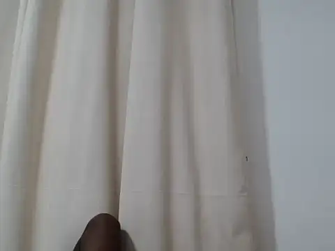andy_laika