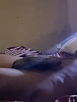 big-longdick1 (M young) - Masturbate and cum