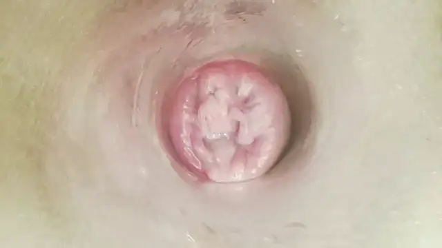karol_stom