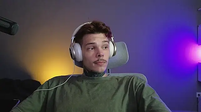 DENIS_HERE webcam