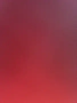 indikasu Stripchat 방송 화면