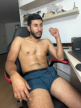 VyxenSecret