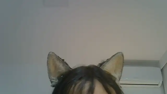 Modelo: SkinnyKitten