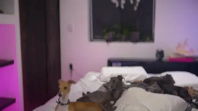 mcklister_kinky_feets