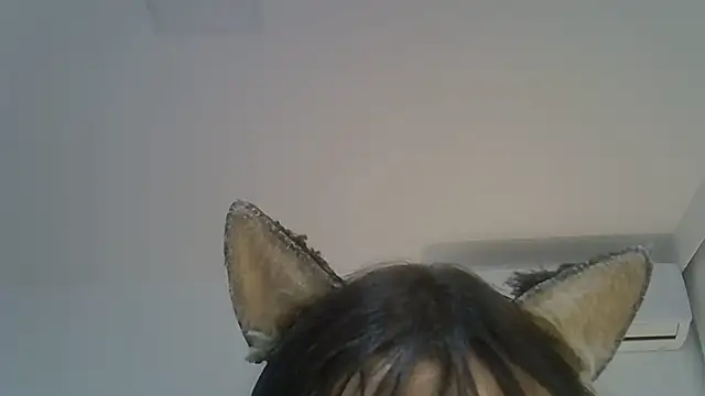 Modelo: SkinnyKitten