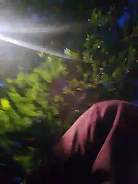 MrStreetGuy