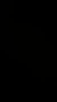 stallone_italiano_62 webcam