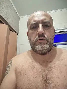 ar174 live cam