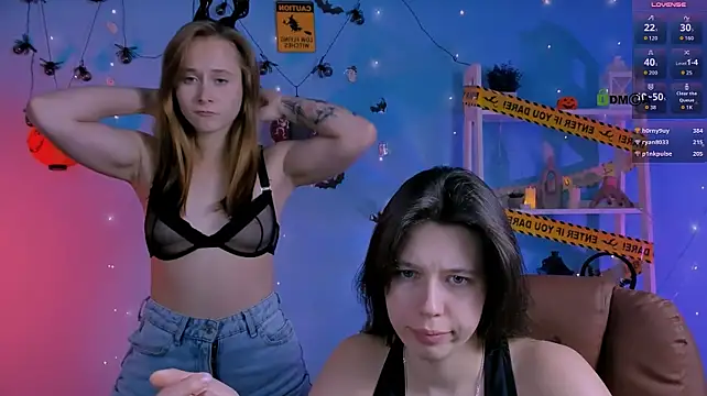 aria_wild_ webcam