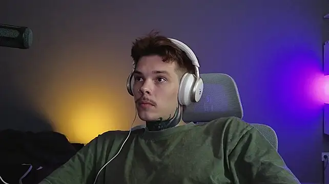 DENIS_HERE webcam