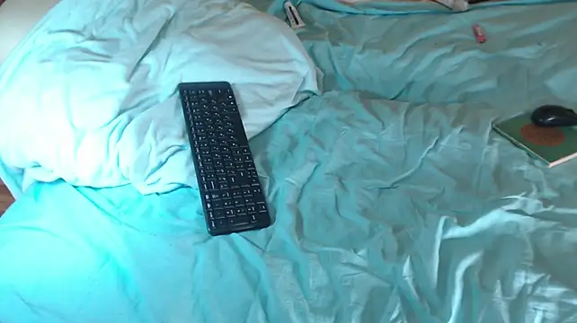 Q_T_pie live cam preview