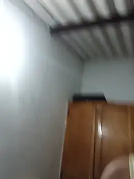 IsaxFox03
