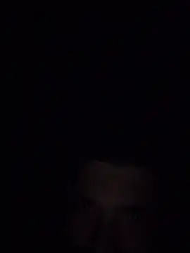 zafari_