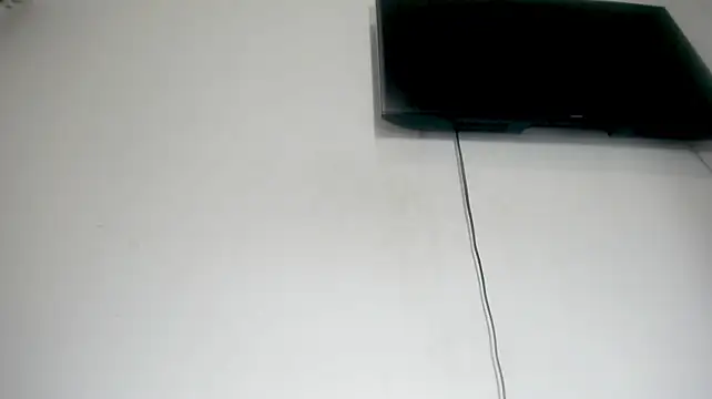 Fox_Loves