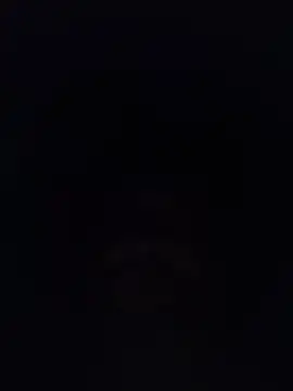 DlaNasCam