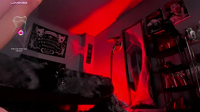 Draculairis live cam