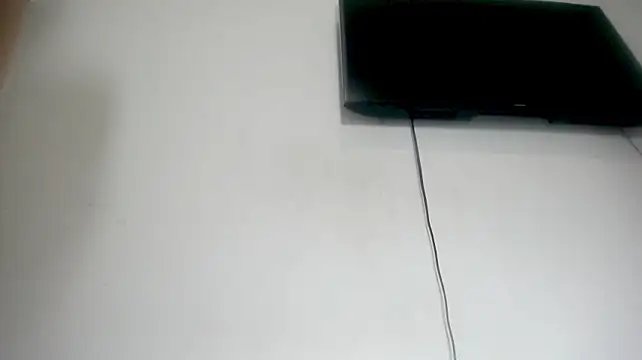 Fox_Loves webcam