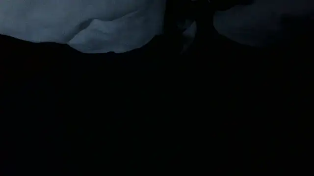 Hungboxer69