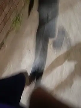 Dansosmith