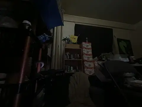 Snowbunnycake_131