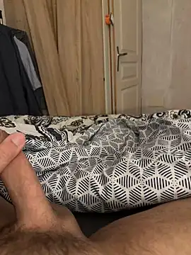 31carapuce webcam