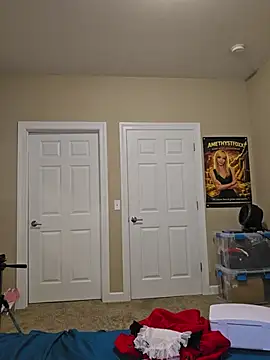 AmethystFoxx live webcam