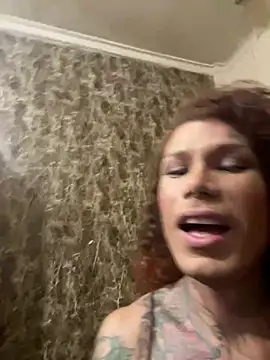 Modelo: ana_tsxxx
