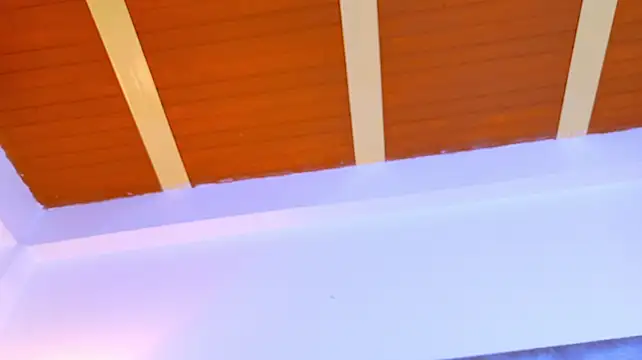 LizSheibaum