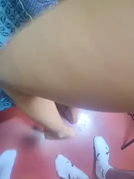 FansBRISA