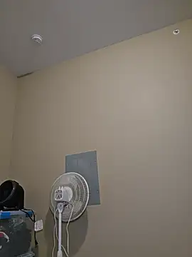 AmethystFoxx live cam