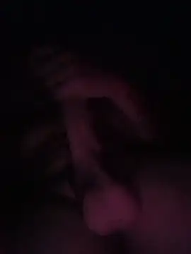 JP33cam live webcam