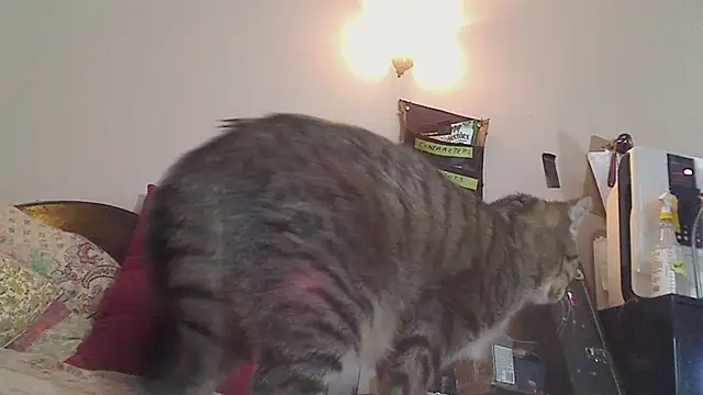 Ireallysquirt